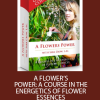 Sara Crow – A Flowers Power – A Course In The Energetics Of Flower Essences | Available Now !