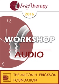 BT16 Workshop 37 – The Science of Persuasion and Brief Therapy – Bill O’Hanlon, MS | Available Now !