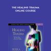 Peter A. Levine-The Healing Trauma Online Course | Available Now !