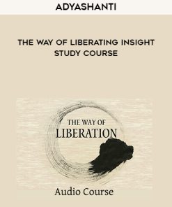 Adyashanti – The way of Liberating Insight – Study Course | Available Now !