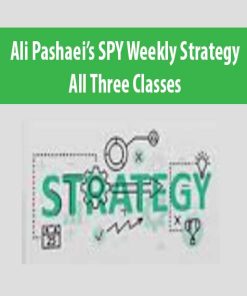 Ali Pashaei’s SPY Weekly Strategy – All Three Classes | Available Now !