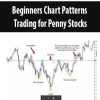 Beginners Chart Patterns Trading for Penny Stocks | Available Now !