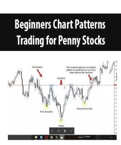 Beginners Chart Patterns Trading for Penny Stocks | Available Now !