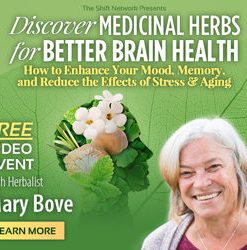 Medicinal Herbs for Better Brain Health – Mary Bove | Available Now !