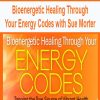 Bioenergetic Healing Through Your Energy Codes with Sue Morter | Available Now !