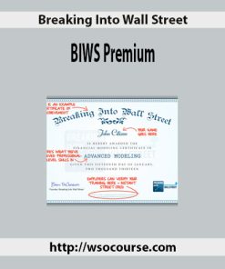Breaking into Wall Street – BIWS Premium | Available Now !