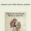 Bruce Frantzis – Dragon and Tiger Medical Qigong | Available Now !