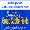 Building Group Subtle Fields with David Nicol | Available Now !