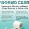 Palliative Wound Care: Management of Complex and Unique Wound Challenges at the End of Life – Laurie Klipfel | Available Now !