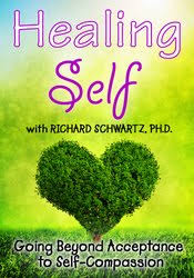 Healing Self: Going Beyond Acceptance to Self-Compassion – Richard C. Schwartz | Available Now !
