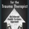New Perspectives for the Trauma Therapist: An Internal Family Systems (IFS) Approach – Richard C. Schwartz | Available Now !
