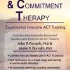 Acceptance and Commitment Therapy: Experiential Intensive ACT Training – John P. Forsyth & Jamie R. Forsyth | Available Now !