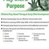 Play with a Purpose: Effective Play-Based Therapy & Early Child Development – Cari Ebert | Available Now !