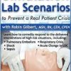 Simulation Lab Scenarios to Prevent a Real Patient Crisis – Robin Gilbert | Available Now !