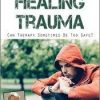 Working the Edge in Healing Trauma: Can Therapy Sometimes Be Too Safe? – Diane Poole Heller | Available Now !