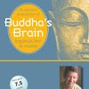 Buddha’s Brain: The Practical Neuroscience of Happiness, Love and Wisdom – Rick Hanson | Available Now !