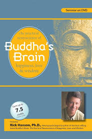 Buddha’s Brain: The Practical Neuroscience of Happiness, Love and Wisdom – Rick Hanson | Available Now !
