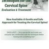Muscle Energy Techniques for the Cervical Spine: Evaluation & Treatment – Terry Bemis | Available Now !