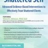 2-Day Certificate Course: Heal the Shattered Self: Advanced Evidence-Based Interventions to Effectively Treat Shattered Clients – Steve A Johnson | Available Now !