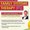 Internal Family Systems Therapy (IFS): 2-Day Experiential Workshop – Richard C. Schwartz | Available Now !