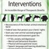 Animal-Assisted Interventions: An Incredible Range of Therapeutic Benefits – Jonathan Jordan | Available Now !