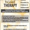 Attachment Focused Therapy: Trauma Related Disorders in Children & Adolescents – Daniel A. Hughes | Available Now !