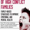 Healing Children of High Conflict Families: Family-Based Strategies to Improve Emotional and Mental Health – Monica Johns | Available Now !