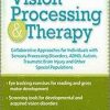 Vision Processing & Therapy: Collaborative Approaches for Individuals with Sensory Processing Disorders, ADHD, Autism, Traumatic Brain Injury & Other Special Populations – Christine Winter-Rundell | Available Now !