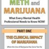 The Clinical Impact of Marijuana: When the Use of Marijuana Has Gone Too Far – Hayden Center | Available Now !