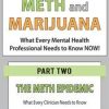 The Meth Epidemic: What Every Clinician Needs to Know – Hayden Center | Available Now !
