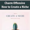 Charm Offensive – How to Create a Niche | Available Now !