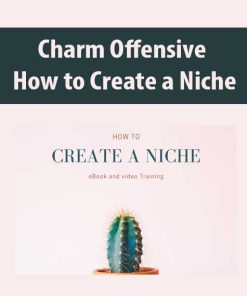 Charm Offensive – How to Create a Niche | Available Now !