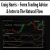 Craig Harris – Forex Trading Advice & Intro to The Natural Flow | Available Now !