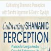 Cultivating Shamanic Perception with Sandra Ingerman & Evelyn Rysdyk | Available Now !