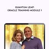 Roy Martina – Quantum Leap: Oracle Training Module 1 | Available Now !