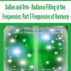 DaBen and Orin – Radiance Filling in the Frequencies: Part 5 Frequencies of Harmony | Available Now !