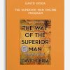 David Deida – The Superior Man Online Program | Available Now !