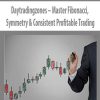 Daytradingzones – Master Fibonacci, Symmetry & Consistent Profitable Trading | Available Now !