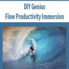 DIY Genius – Flow Productivity Immersion | Available Now !