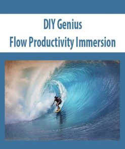 DIY Genius – Flow Productivity Immersion | Available Now !