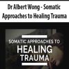 Dr Albert Wong – Somatic Approaches to Healing Trauma | Available Now !