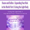 Duane and DaBen – Expanding Your Role in the World: Part 3 Living the Light Body | Available Now !