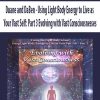 Duane and DaBen – Using Light Body Energy to Live as Your Vast Self: Part 3 Evolving with Vast Consciousnesses | Available Now !