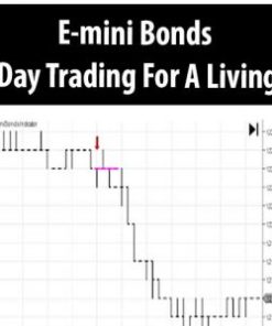 E-mini Bonds – Day Trading For A Living | Available Now !