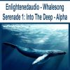 Enlightenedaudio – Whalesong Serenade 1: Into The Deep – Alpha | Available Now !