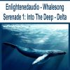 Enlightenedaudio – Whalesong Serenade 1: Into The Deep – Delta | Available Now !