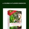 A Flower’s Power: A Course In Flower Essences | Available Now !