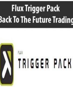 Flux Trigger Pack – Back To The Future Trading | Available Now !