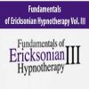 Fundamentals of Ericksonian Hypnotherapy Vol. III | Available Now !