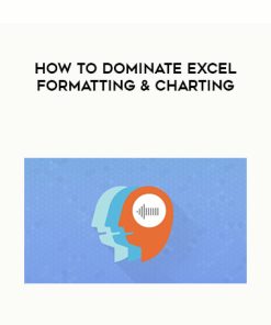 How To Dominate Excel Formatting & Charting | Available Now !